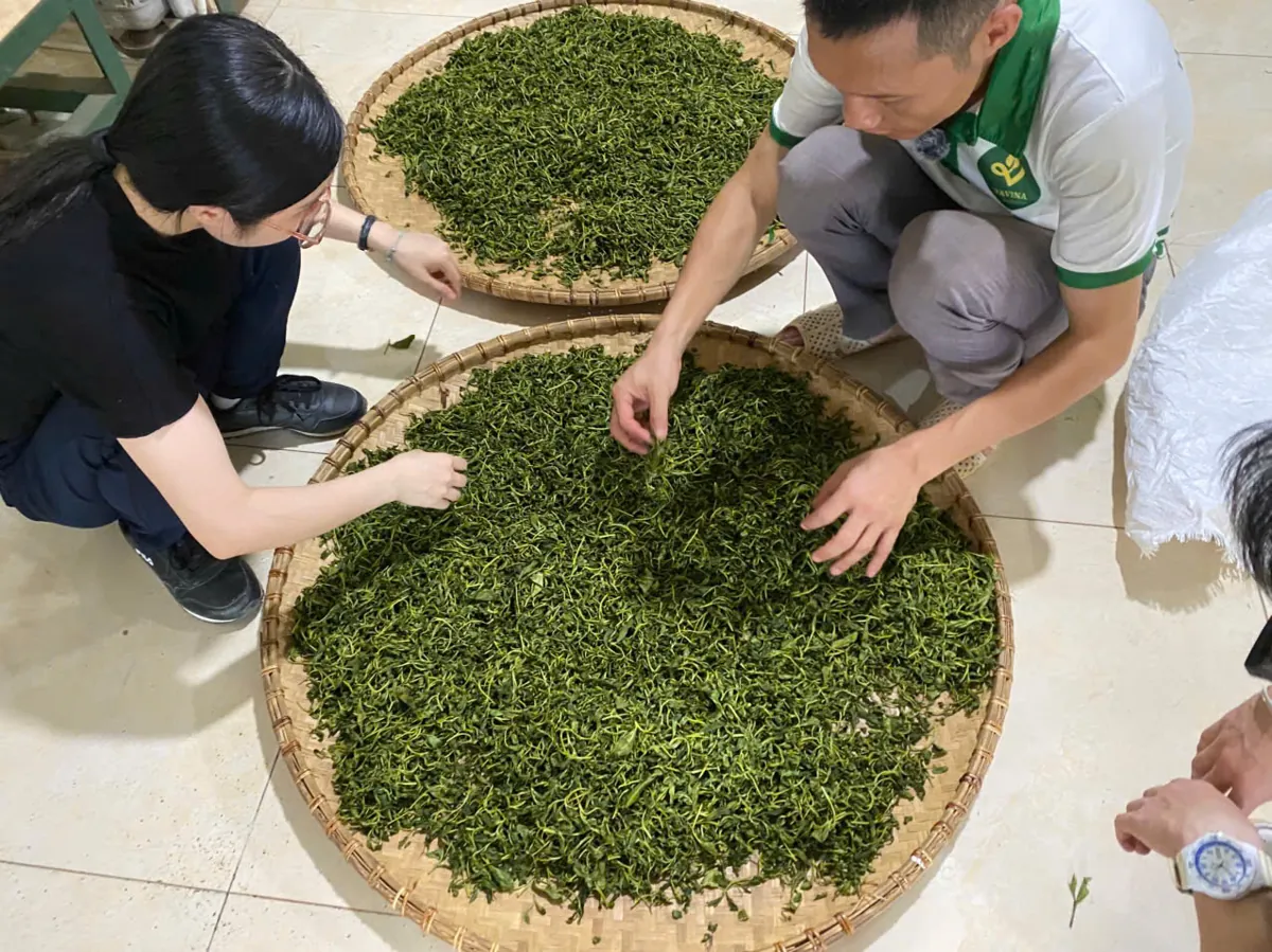 Sàng trà để tách tấm và cánh nguyên