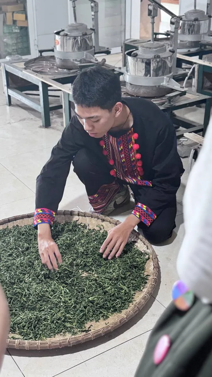 Sao chè thủ công trên nong – quy trình làm Trà Tấm Đinh Túi Lọc 500g