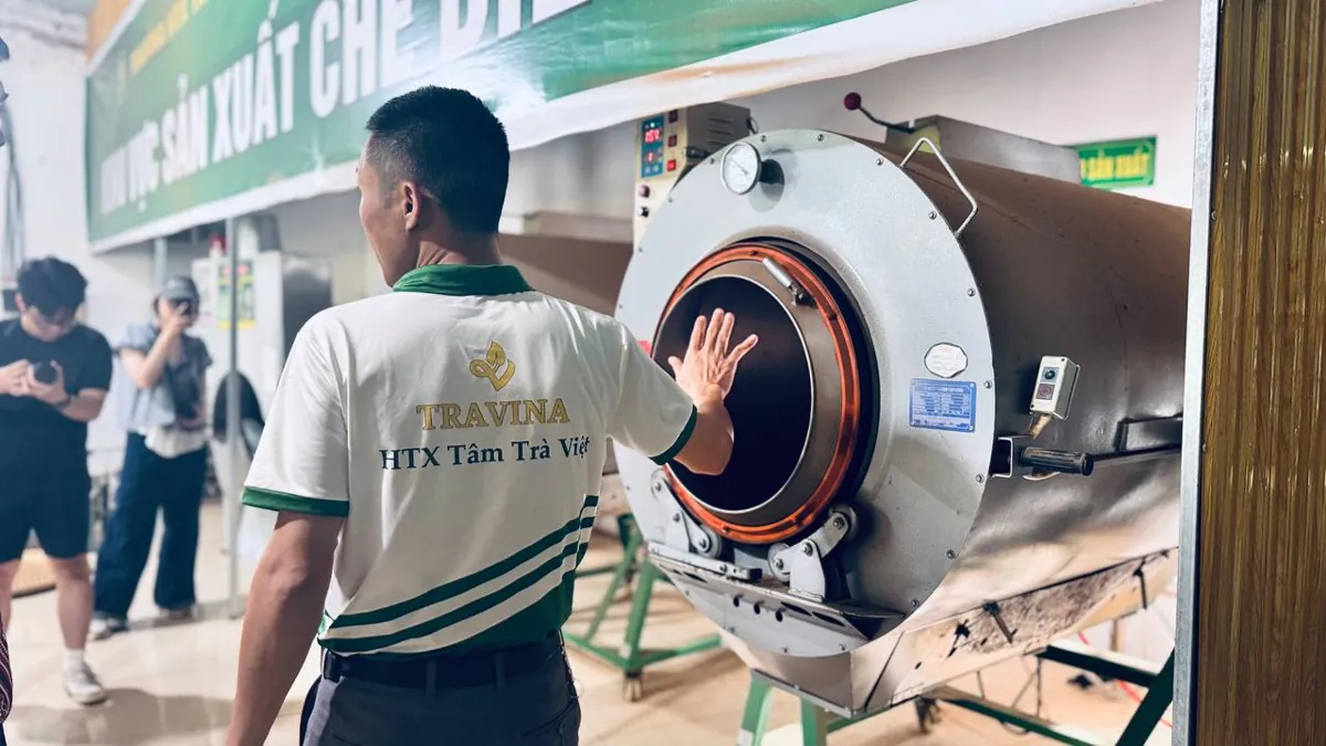 Tôn quay sao khô trà móc câu
