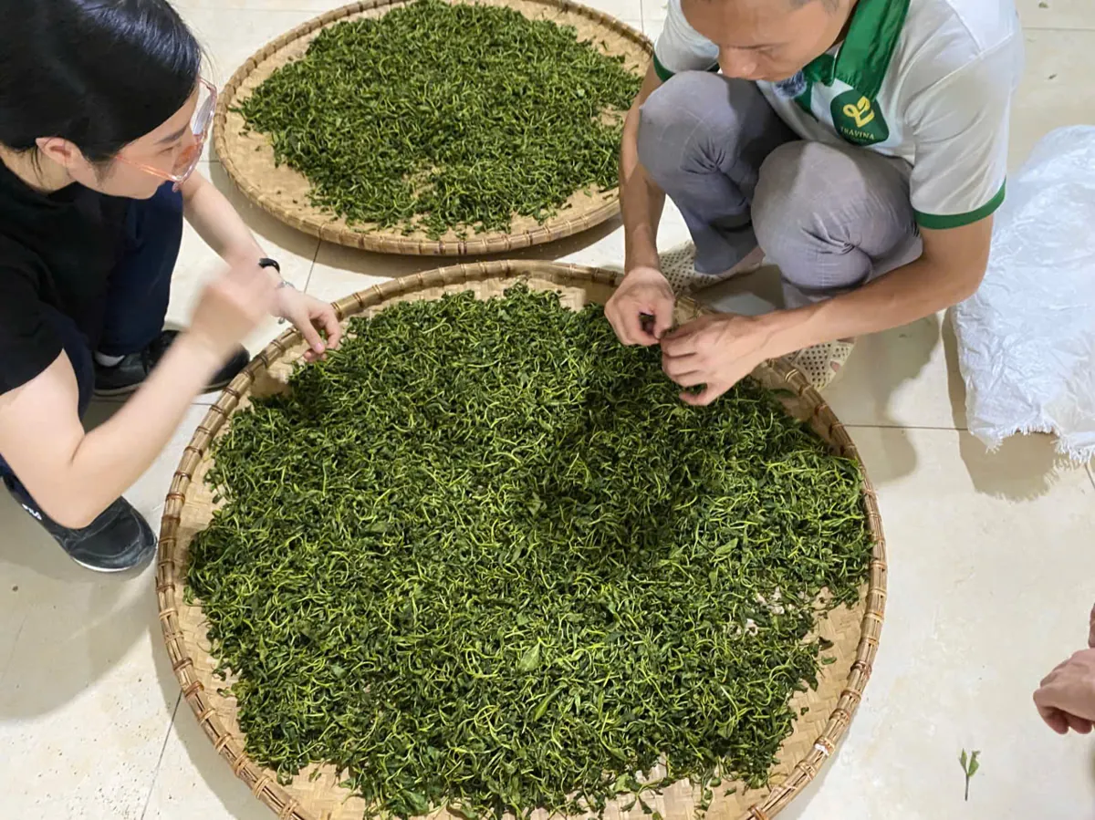 Trà mạn Thái Nguyên trên nong tre – 6 công thức trà detox trái cây ủ bình 1 lít cho tuần làm v