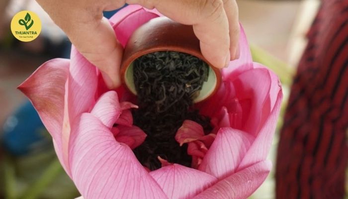 Trà Ướp Hoa Sen Tây Hồ - Tinh Hoa Nghệ Thuật Trà Việt