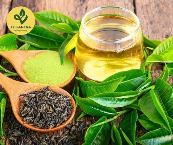 Trà Thực Sự Chống Lão Hoá và Chống Ung Thư