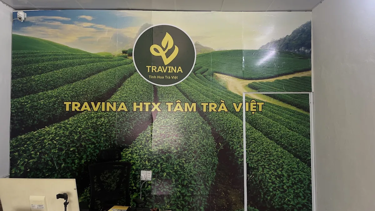 Tường thương hiệu Travina – HTX Tâm Trà Việt