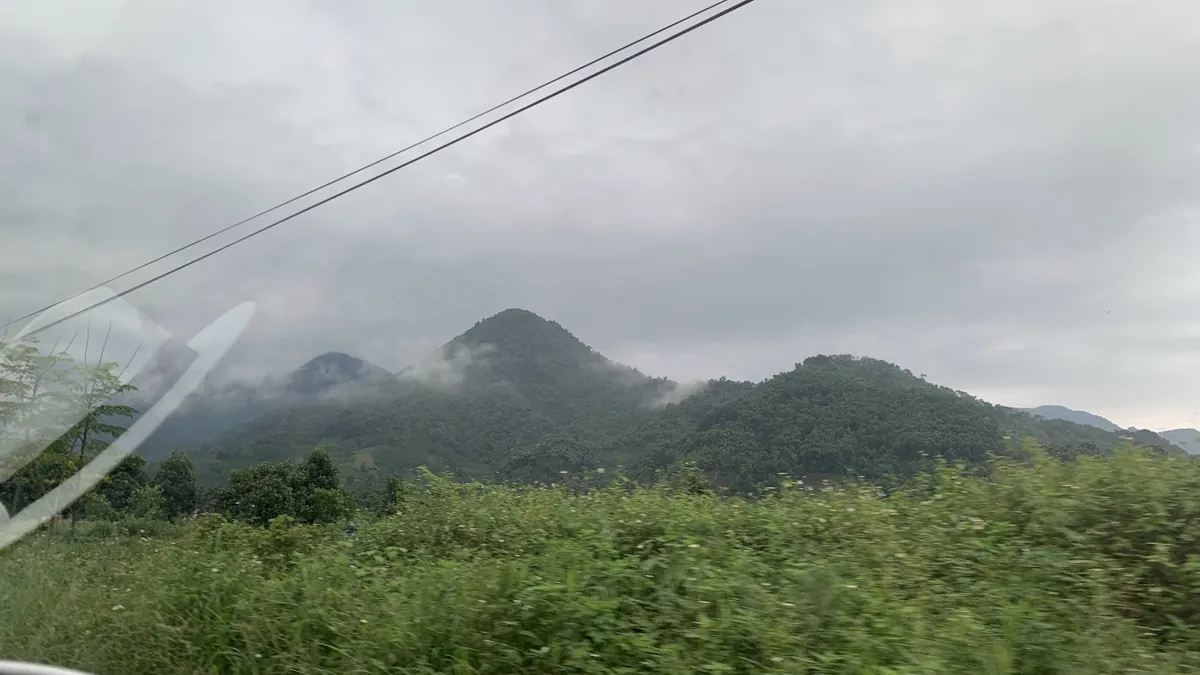 Vùng chè Việt Nam giữa núi rừng