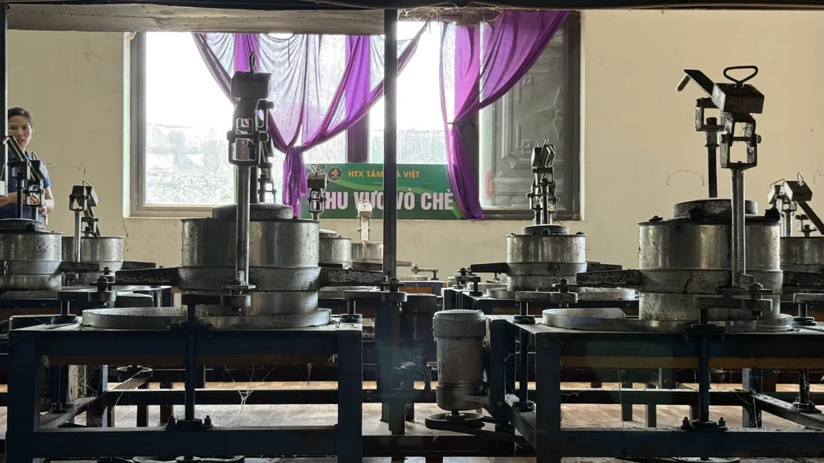 Xưởng chế biến chè – dàn máy sao – quy trình làm Hồng Trà Giải Rượu