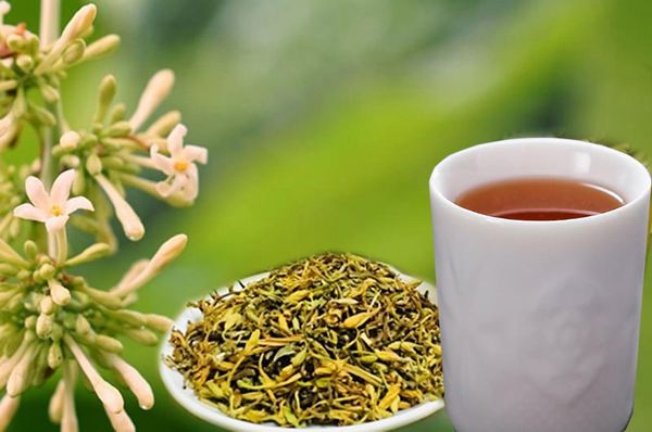 Hoa Đu Đủ Đực