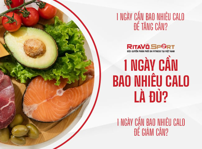 một người nên nạp bao nhiêu calo mỗi ngày