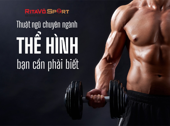 Thuật ngữ trong thể hình