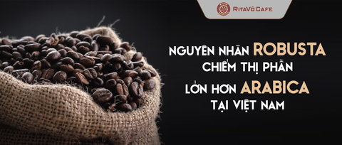 Nguyên nhân ROBUSTA chiếm thị phần lớn hơn ARABICA tại Việt Nam