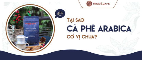 Sự thật về vị chua của cà phê arabica - Tất cả là vì lí do này!