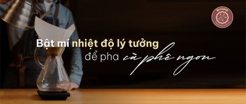 Bật mí nhiệt độ lý tưởng để pha cà phê ngon