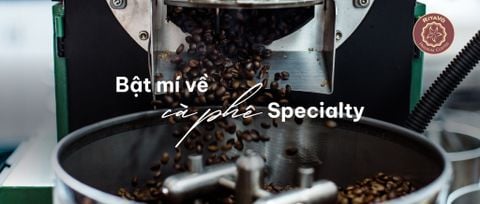 Bật mí về cà phê Specialty