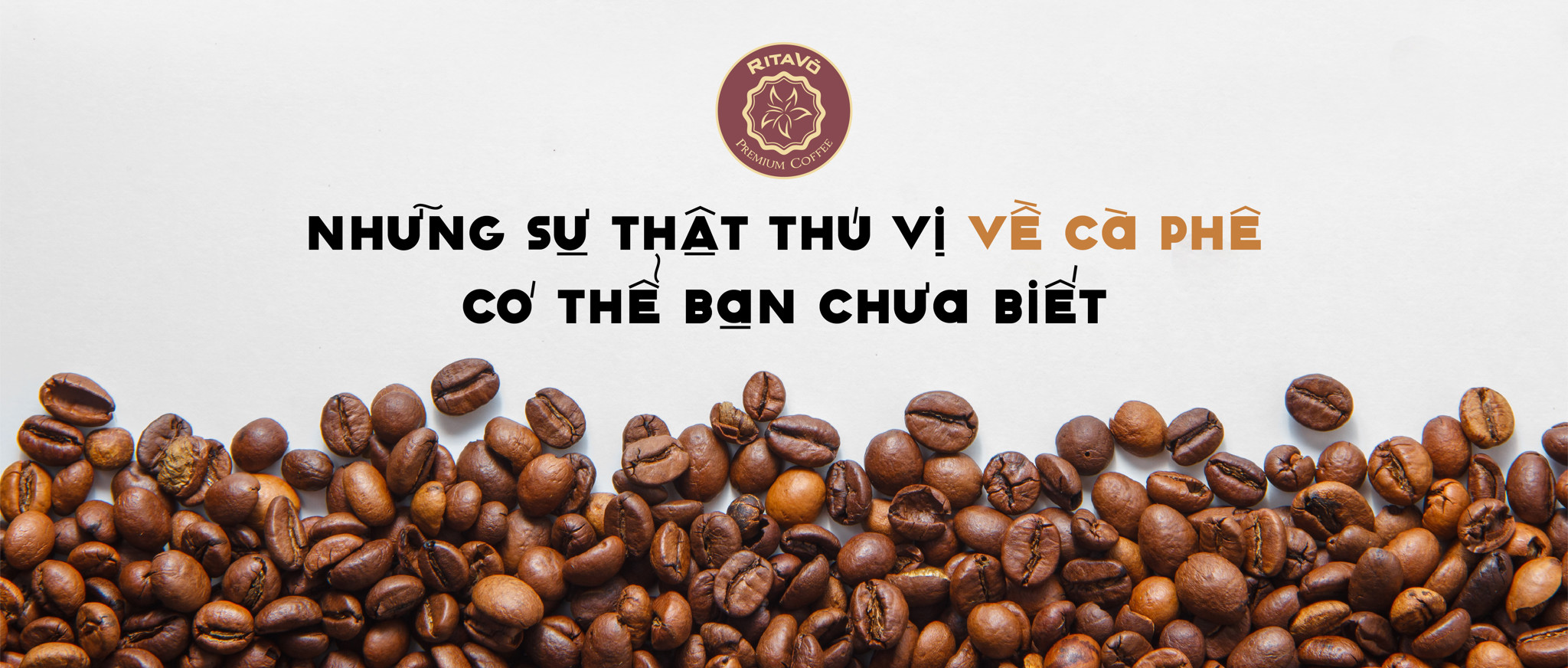 Những sự thật thú vị về cà phê có thể bạn chưa biết