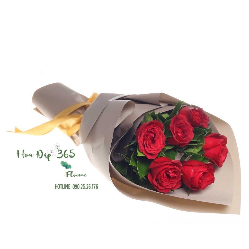 Hơn 5000+ Hoa hồng đẹp 20 10 Được yêu thích nhất