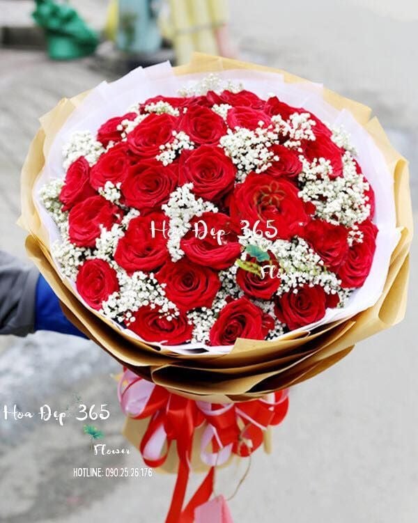 Ý nghĩa hoa Hồng Nhung đỏ có thể bạn chưa biết
