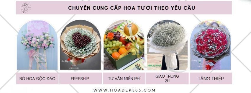 Shop Tươi Flosa, Dịch Vụ Điện Hoa 63 Tỉnh Thành Nhanh Chóng, Uy Tín