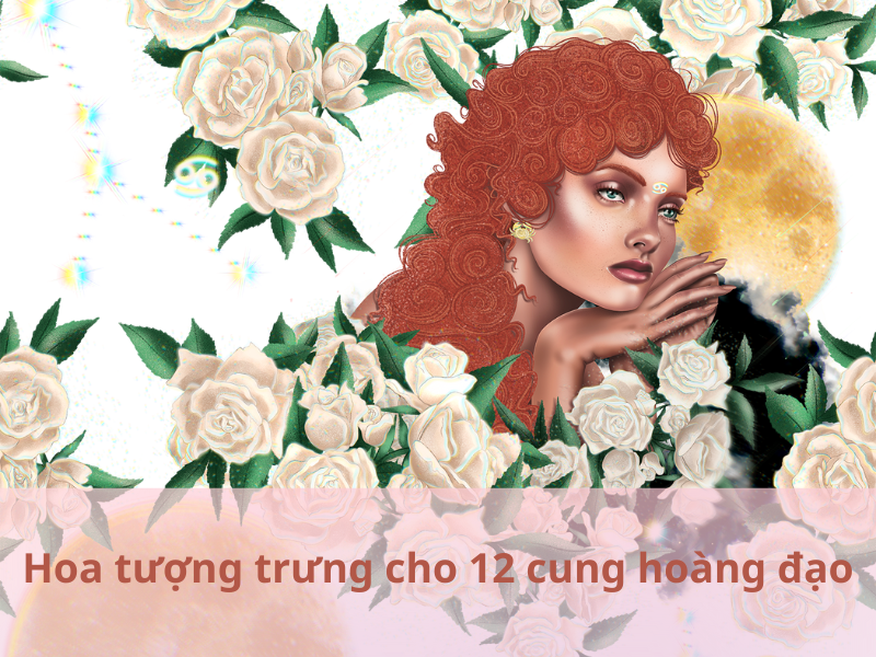 Loại hoa tượng trưng cho 12 cung hoàng đạo và Ý nghĩa từng loại