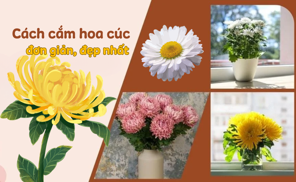 15 Cách cắm hoa cúc bàn thờ đơn giản, cắm hoa cúc vàng đẹp nhất