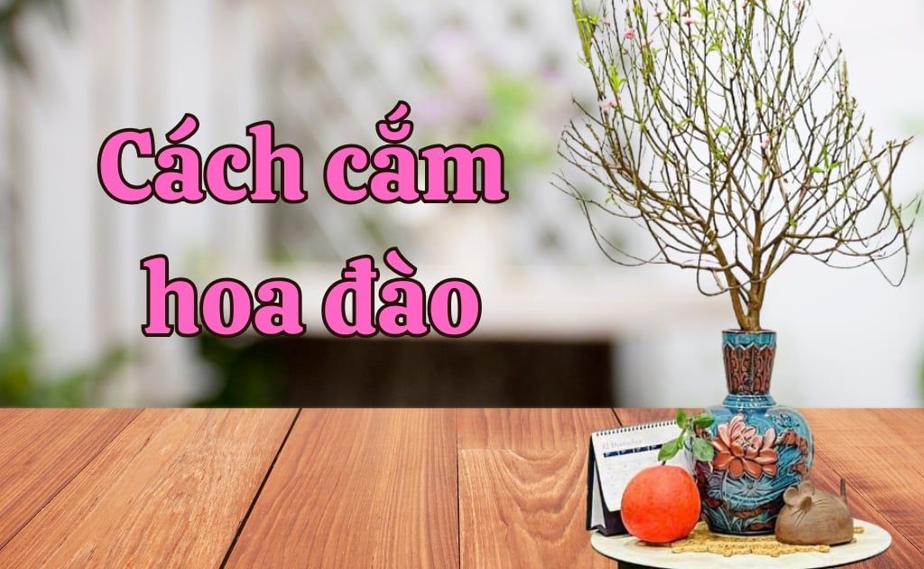 Cách cắm hoa đào Tết đẹp, tươi lâu, nở rộ đúng mùng 1