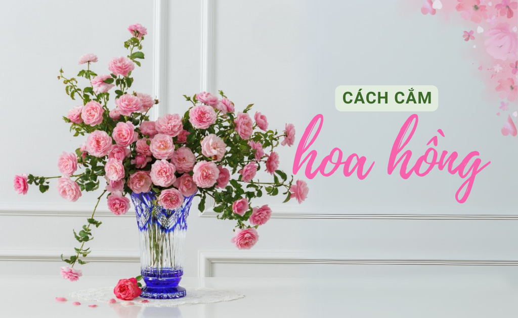 Các mẫu cắm hoa hồng đẹp 