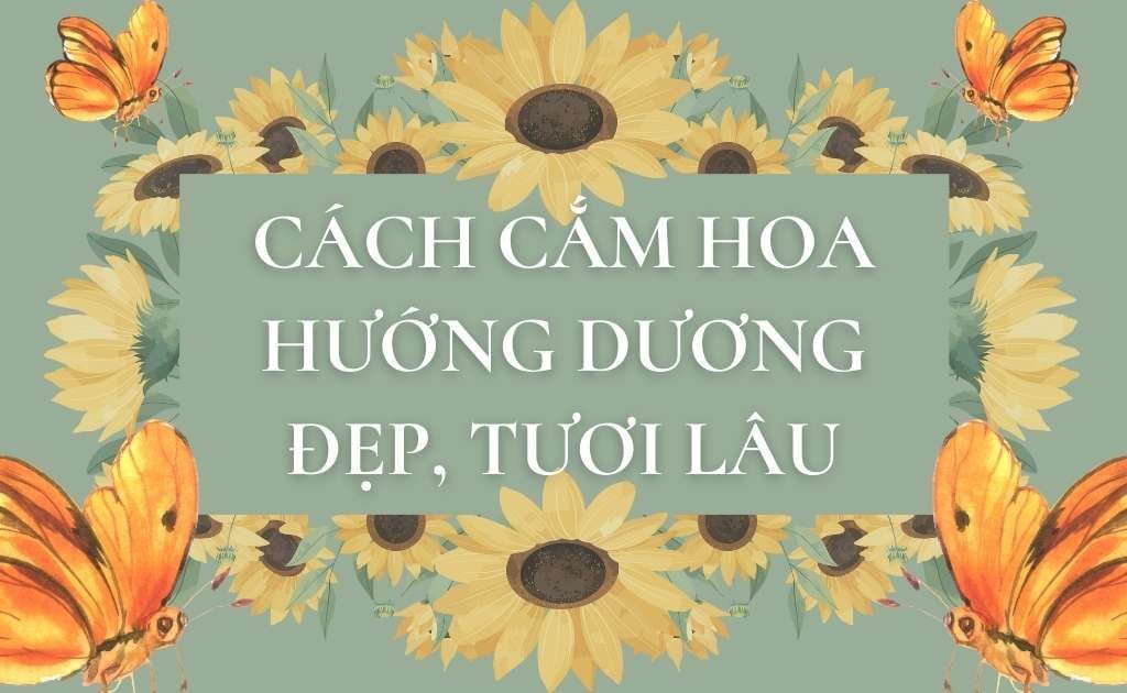 10+ Cách cắm hoa hướng dương đẹp, tươi lâu, đơn giản để bàn, nghệ thuật