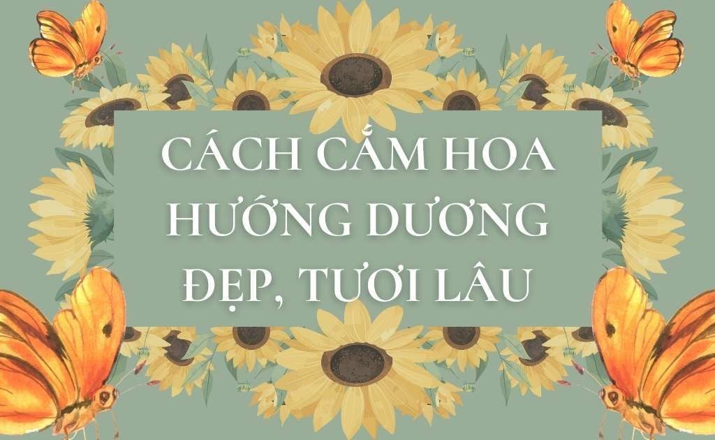 10+ Cách cắm hoa hướng dương đẹp, tươi lâu, đơn giản để bàn, nghệ thuật