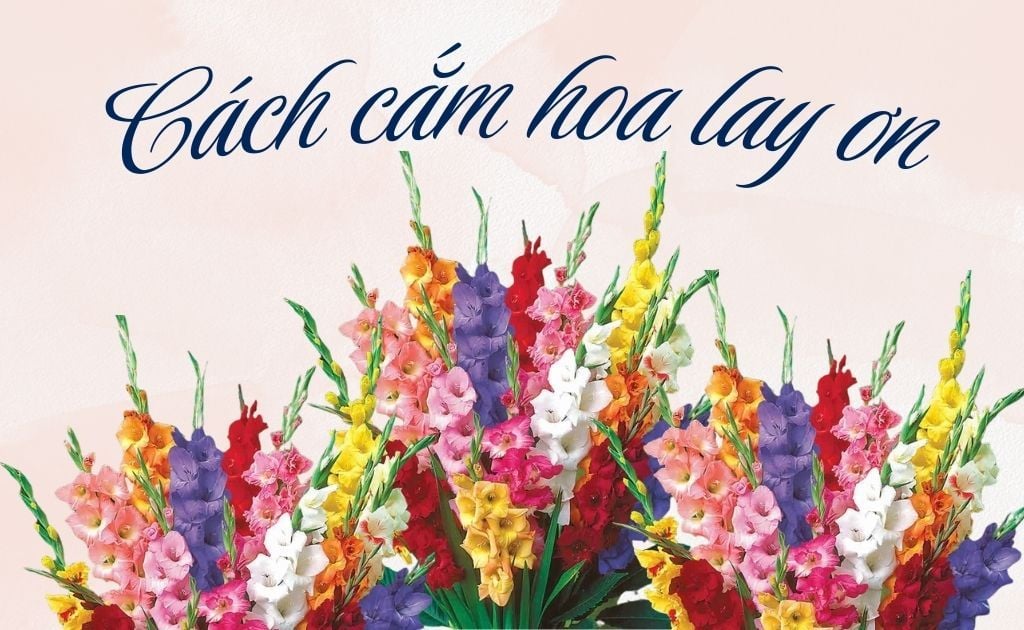 15 Cách cắm hoa lay ơn ngày Tết bền đẹp tươi lâu, ý nghĩa thu hút tài lộc