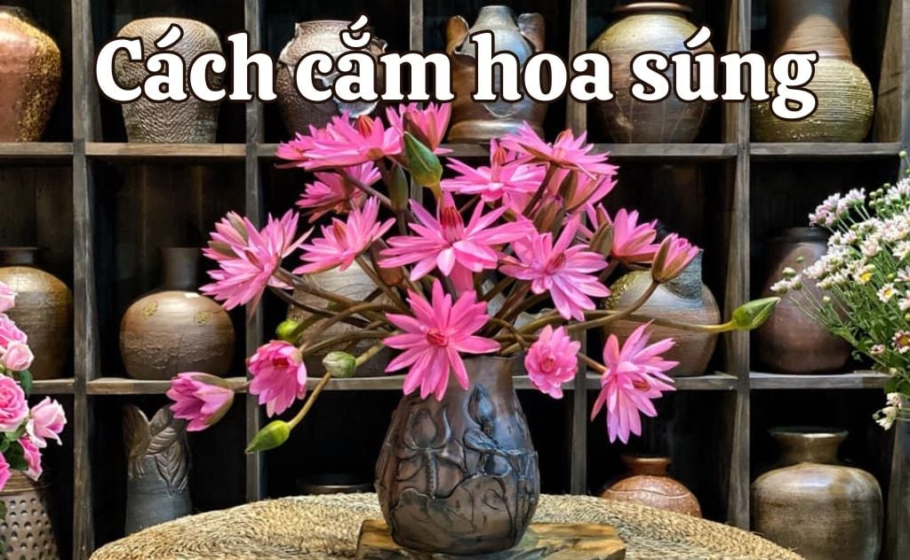 5 Cách cắm hoa súng tươi lâu đơn giản tại nhà, dưỡng hoa bền đẹp nhất