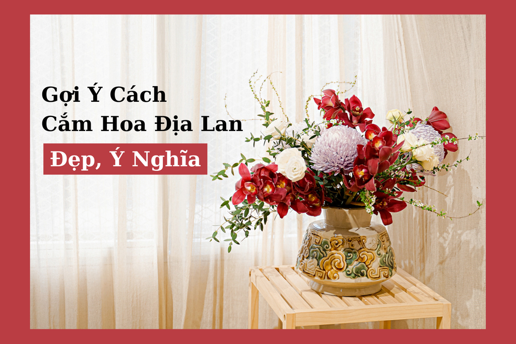 Hoa Địa Lan: Nguồn Gốc, Ý Nghĩa & Cách Trồng Ra Hoa Đẹp 2026