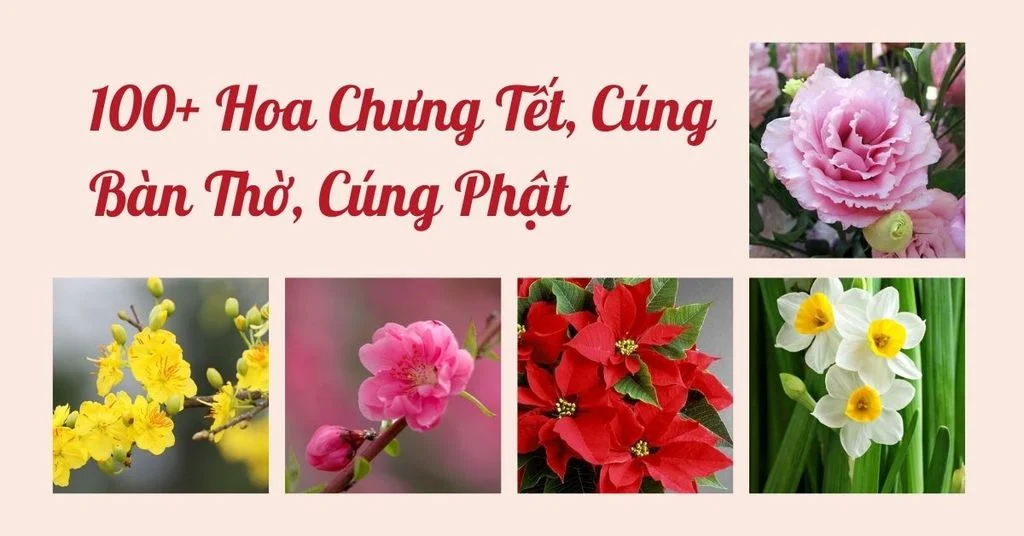 100+ Hoa Chưng Tết, Cúng Bàn Thờ, Cúng Phật Đón Tết Nguyên Đán 2025
