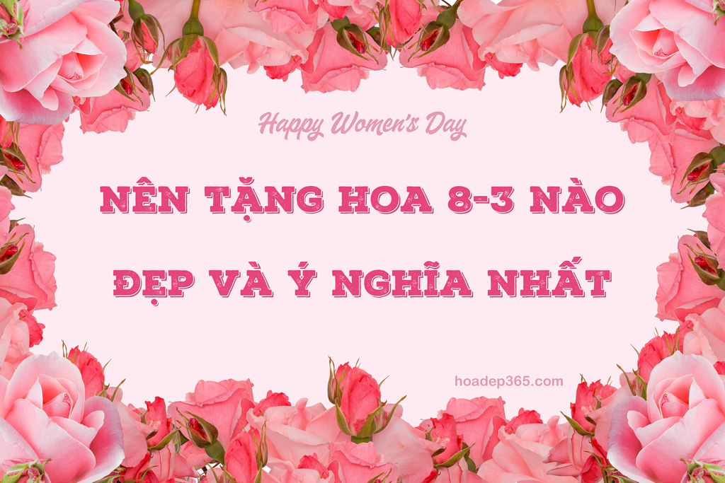 Nên tặng hoa gì ngày 8/3? Top 15 loài hoa 8/3 đẹp nhất 2026