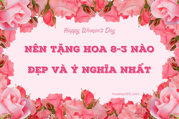 Nên tặng hoa gì ngày 8/3? Top 15 loài hoa 8/3 đẹp nhất 2026
