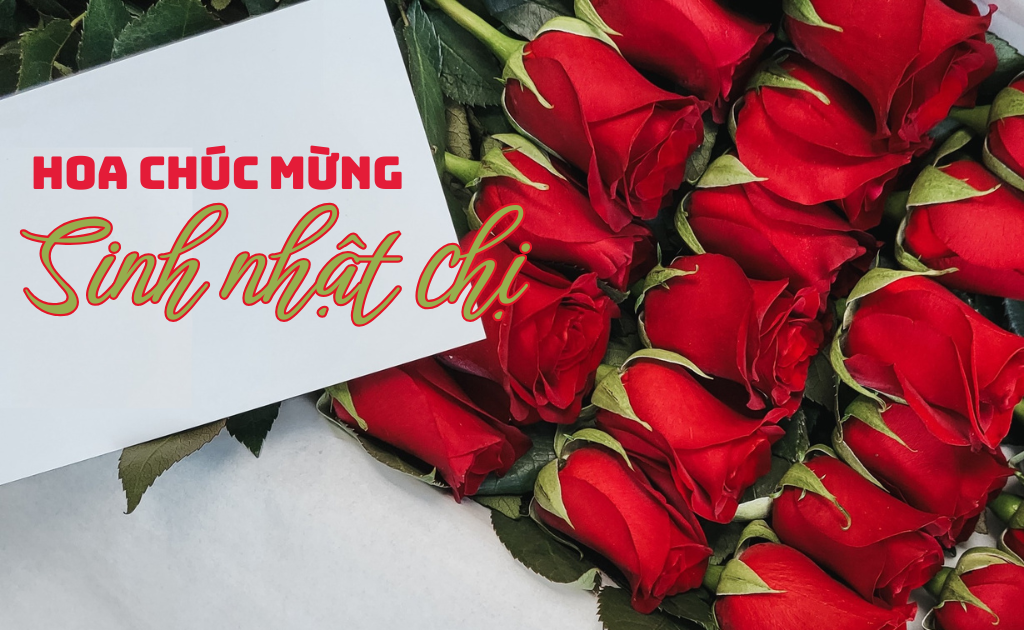 100+ Mẫu hoa chúc mừng sinh nhật chị ý nghĩa kèm lời chúc mừng hay nhất