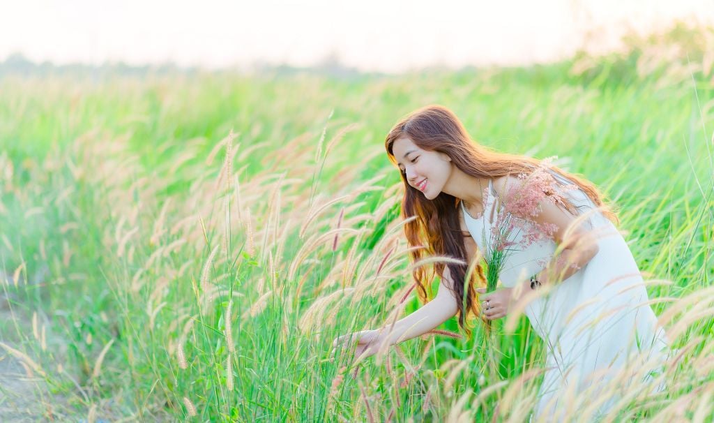 Top 06 loài hoa dại đẹp nhất ở Việt Nam và ý nghĩa