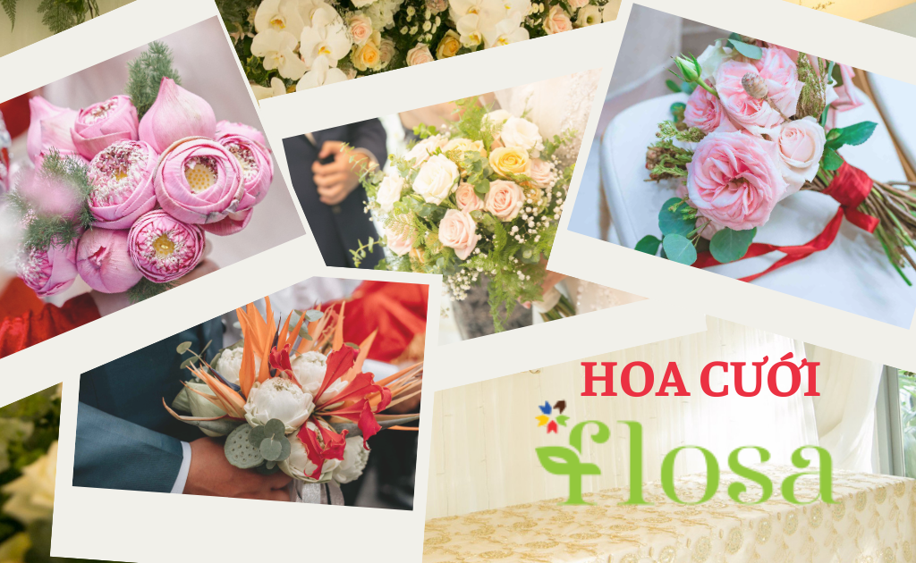 Hoa Cưới Flosa: Đa dạng mẫu mã, Thiết kế sang trọng độc đáo, đẹp nhất