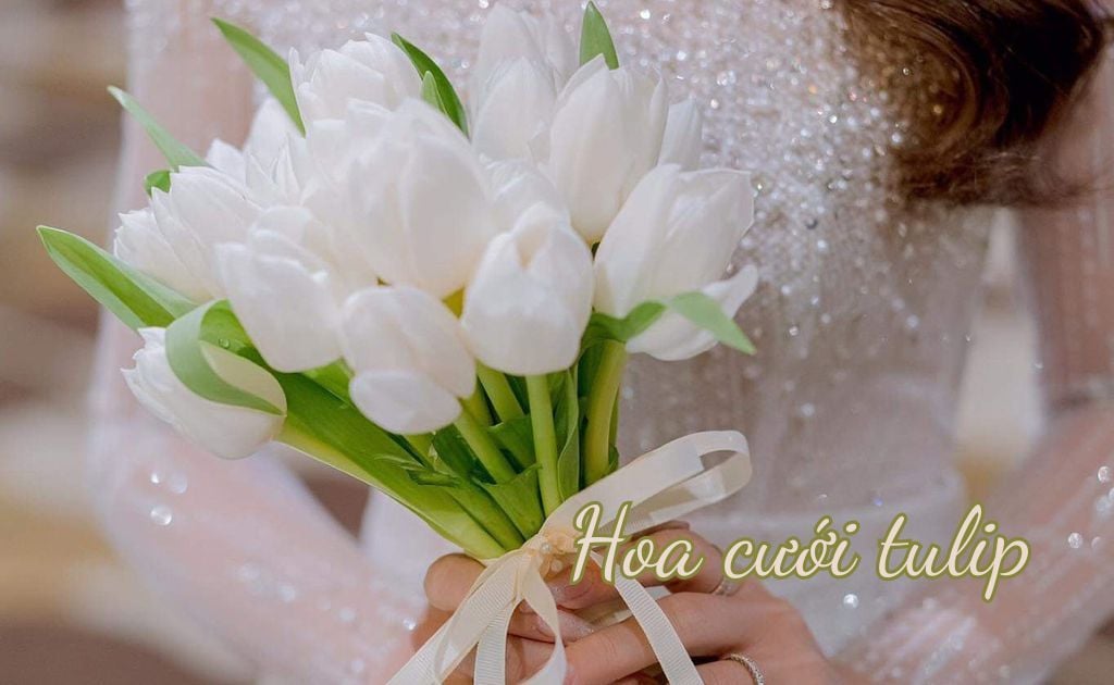 Hoa Cưới Tulip: 99+ Mẫu bó hoa cưới cầm tay tulip đẹp nhất và ý nghĩa