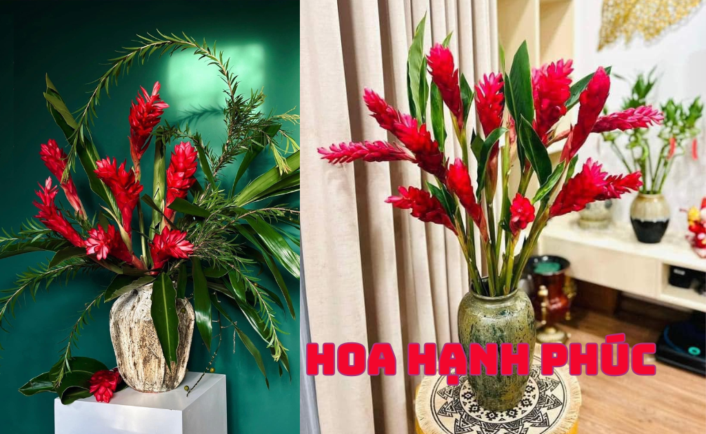 Hoa hạnh phúc là gì? Ý nghĩa, cách trồng và cắm hoa thu hút tài lộc