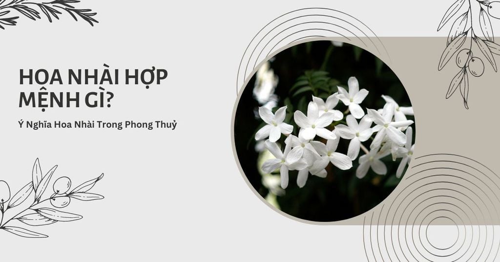 Hoa Nhài Hợp Mệnh Gì? Ý Nghĩa Hoa Nhài Trong Phong Thuỷ Mới 2026