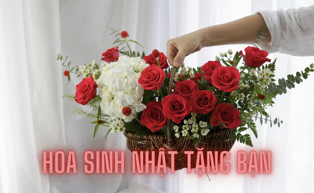 99+ Hoa sinh nhật đẹp tặng bạn ý nghĩa, hot trend nhất giá rẻ từ 300k