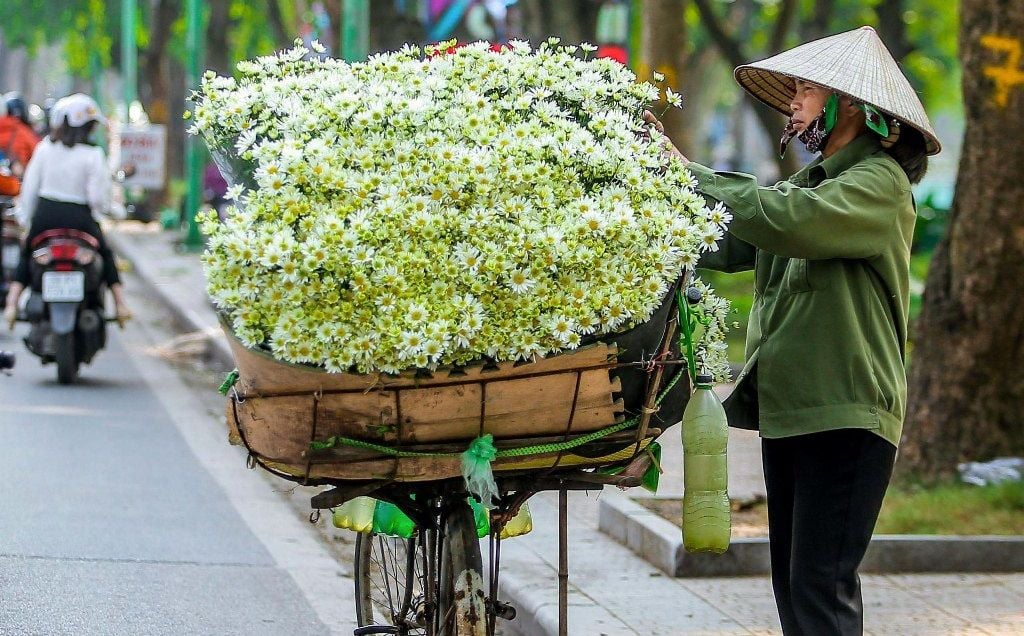 Hoa Tháng 12: Thổn Thức Vẻ Đẹp E Ấp Của Hoa Mùa Đông