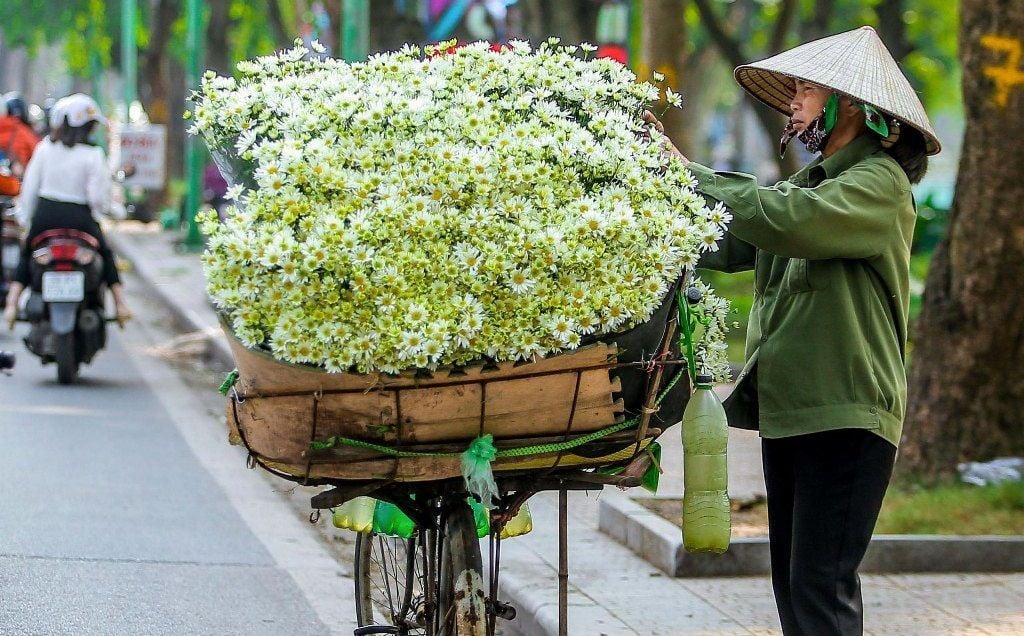 Hoa Tháng 12: Thổn Thức Vẻ Đẹp E Ấp Của Hoa Mùa Đông