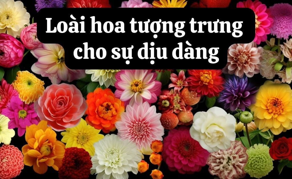 Top 15+ loài hoa tượng trưng cho sự dịu dàng, nhẹ nhàng nữ tính