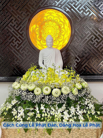 Hoa Lan Cúng Phật - Ý Nghĩa Tâm Linh Của Lan Hồ Điệp Lễ Phật Đản