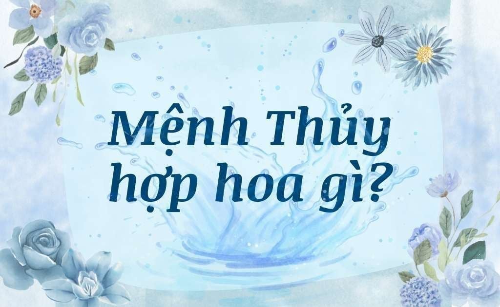Mệnh Thuỷ hợp hoa gì? Top 10 loại hoa mang may mắn, tài lộc, thịnh vượng