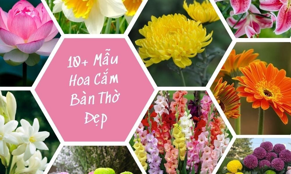 10+ Mẫu Hoa Cắm Bàn Thờ Đẹp & Kiêng Kỵ Khi Cắm Hoa 2026