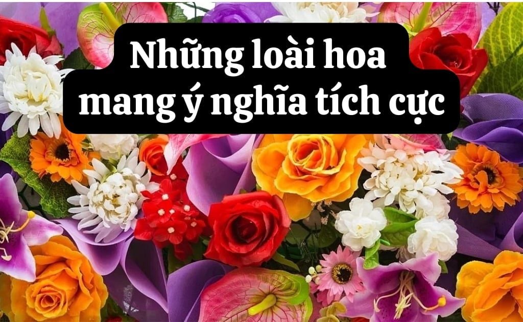 Top 20+ loài hoa mang ý nghĩa tích cực, may mắn bình an hạnh phúc