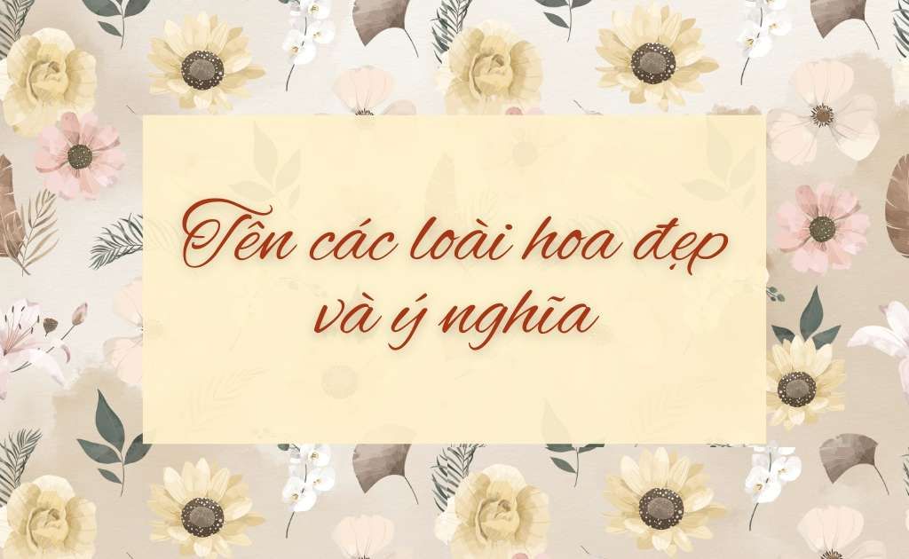 Tên các loài hoa đẹp và ý nghĩa chi tiết nhất có thể bạn chưa biết