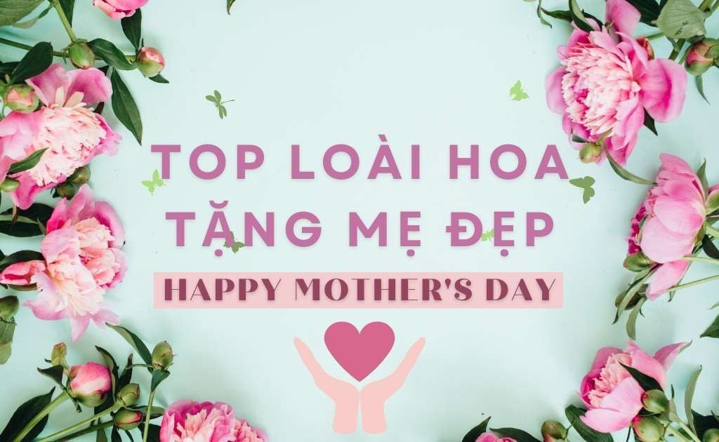 Top 10 loài hoa tặng mẹ đẹp cho Ngày của Mẹ 2026 ý nghĩa nhất