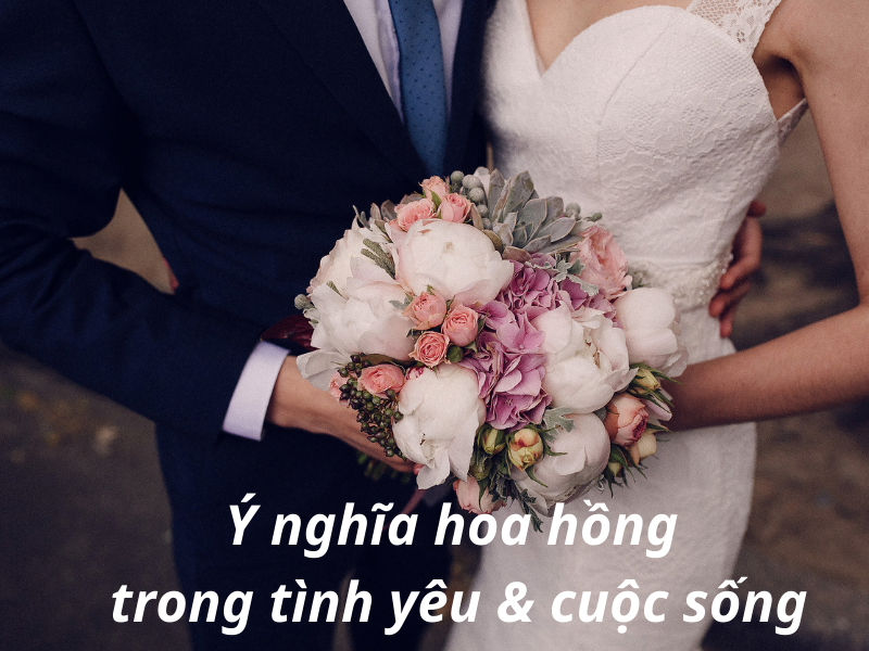 Hoa Hồng: Nguồn Gốc, Ý Nghĩa Trong Tình Yêu & Cách Trồng