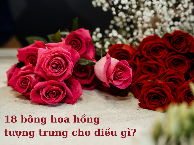 Giải mã: Ý nghĩa của 18 bông hoa hồng trong tình yêu | HoaĐẹp365